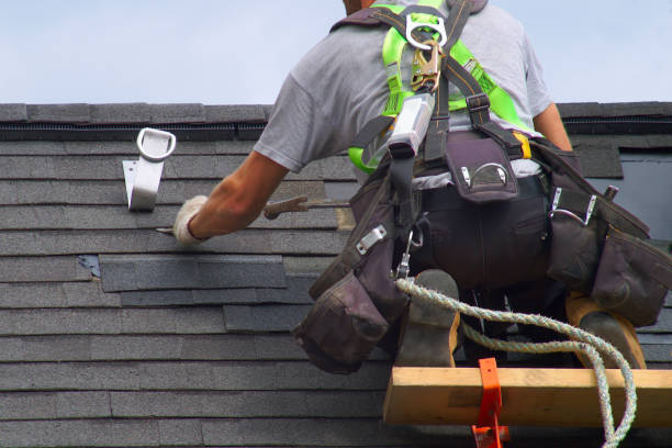 Best Roof Gutter Cleaning  in Middletown, VA