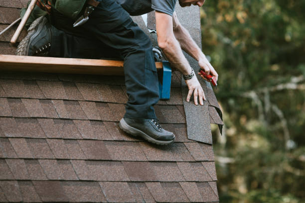 Best Roof Maintenance Services  in Middletown, VA